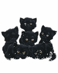pic for Black Cats